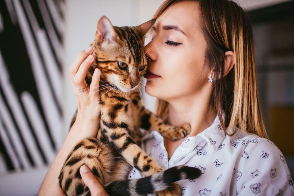 ¿A qué huele su gato?