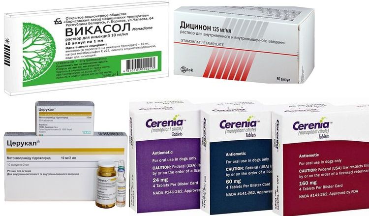 Medicamentos para tratar el vómito con sangre en perros