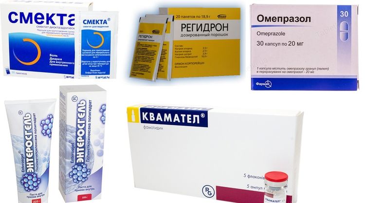 Preparados para tratar el vómito con sangre en perros