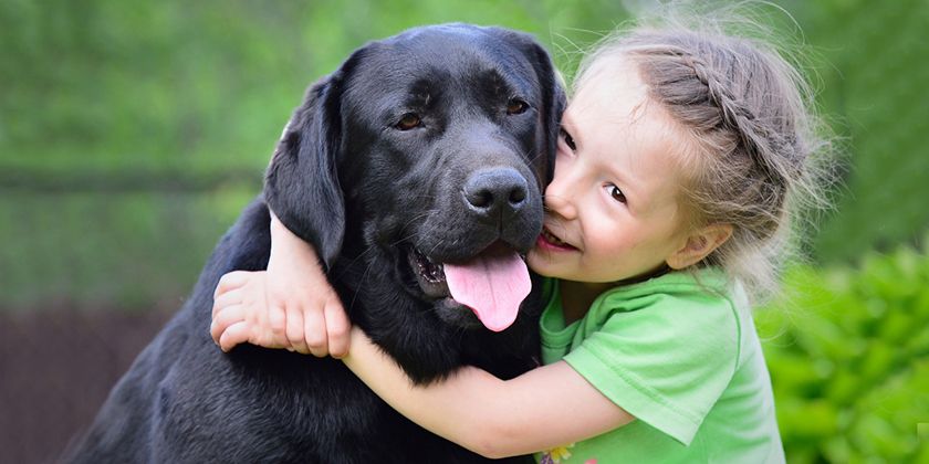 Los perros más fáciles de mantener