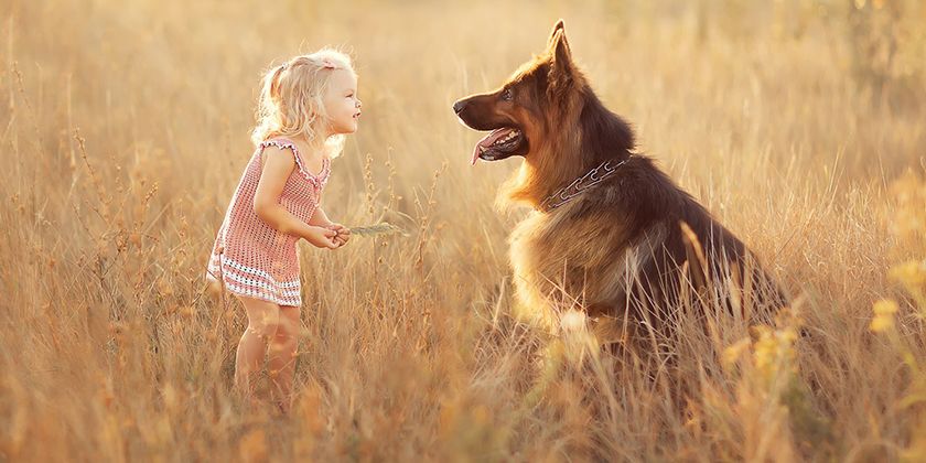 Perro pastor y niña