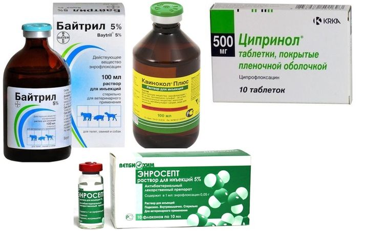 Medicamentos para el tratamiento del estafilococo