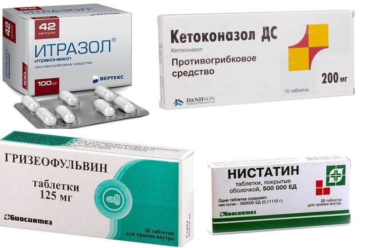 Medicamentos para el tratamiento de la tricofitia en perros