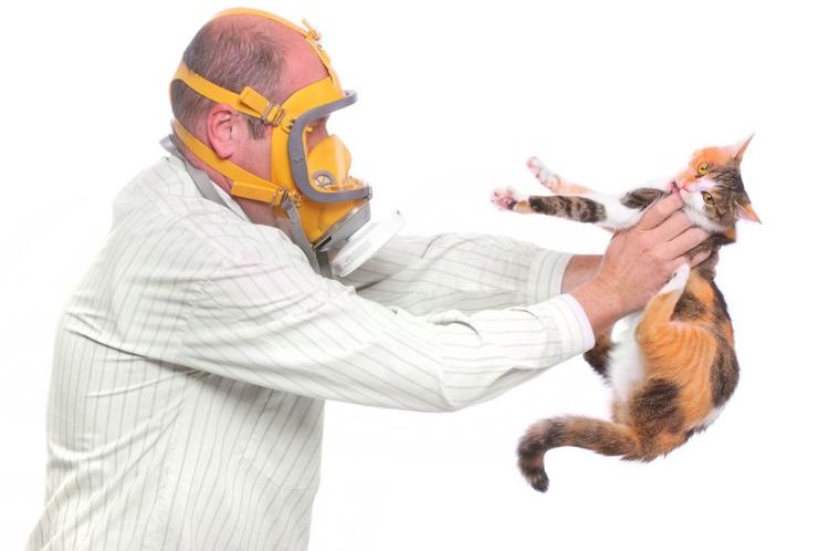 Alergia a los gatos en un hombre