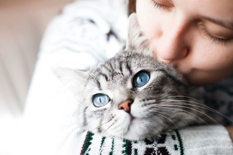 Mujer besa a un gato