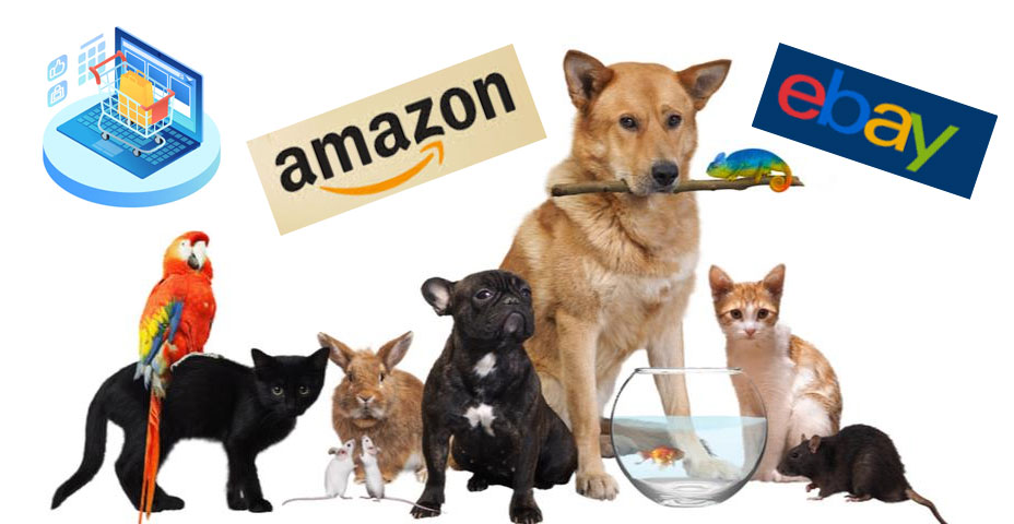 Productos para animales de tiendas de EE. UU. (América)