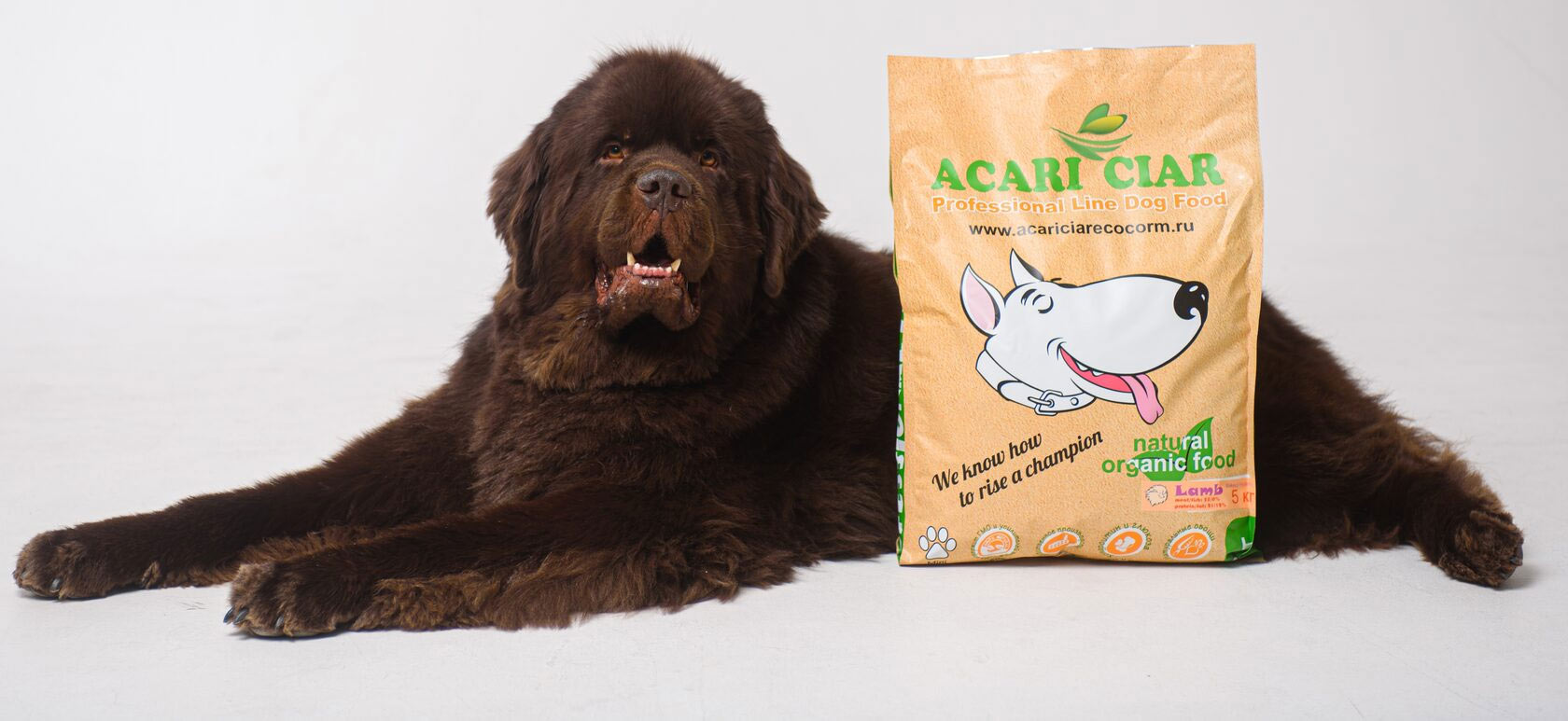 pienso para perros Acari Ciar