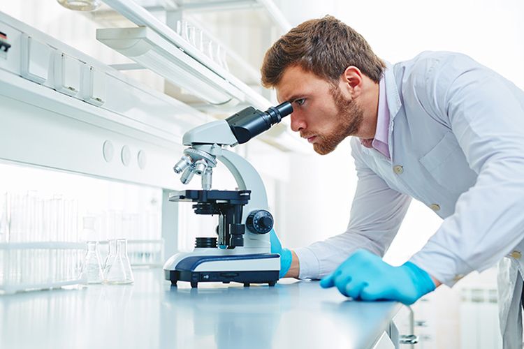 Técnico de laboratorio al microscopio