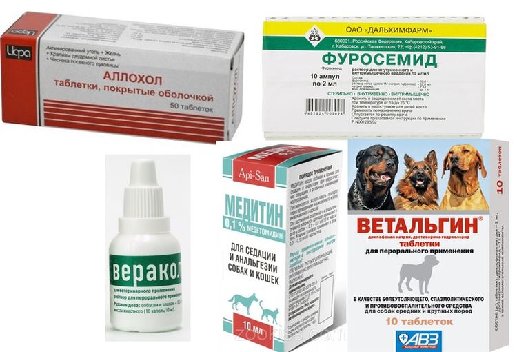 Medicamentos para el tratamiento de la ascitis en perros