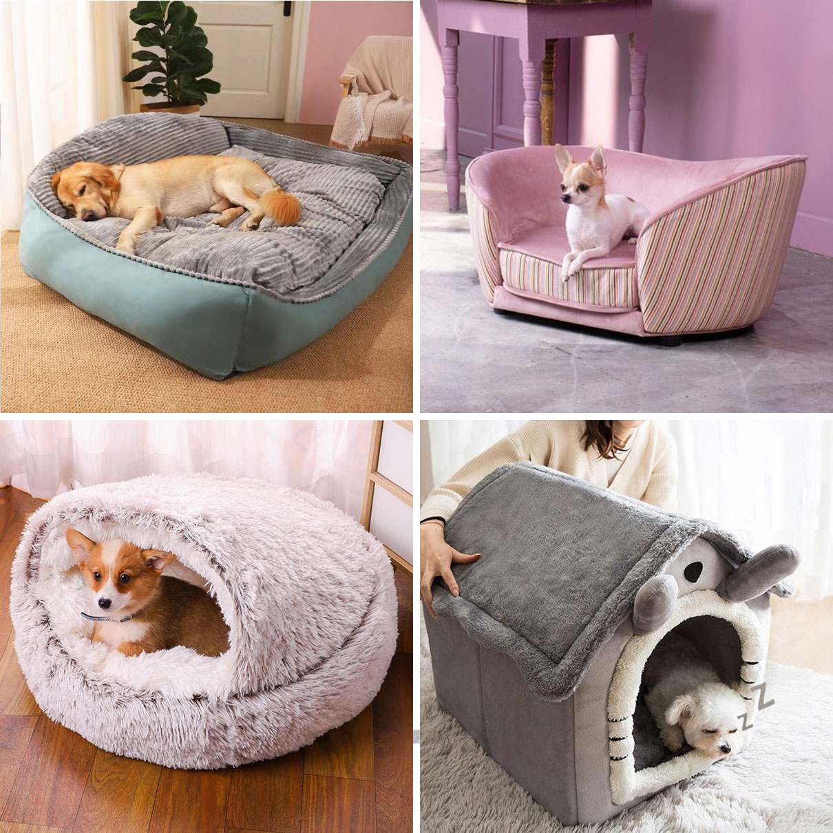 Tipos de camas para perros