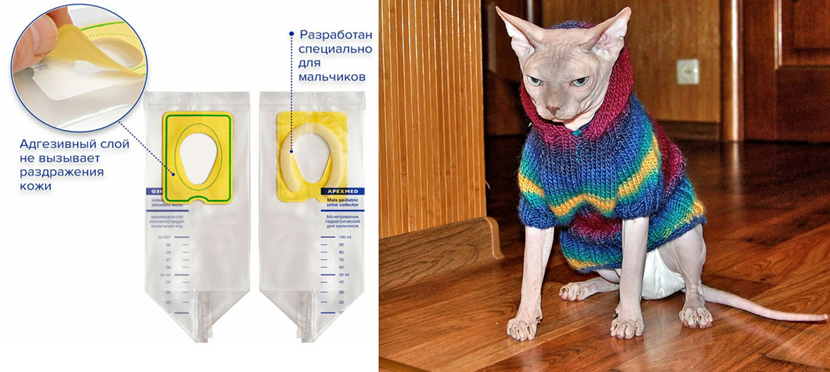 Cómo usar un recolector de orina infantil para recoger orina de un gato