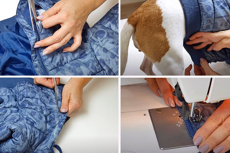 Confección de un mono para perro
