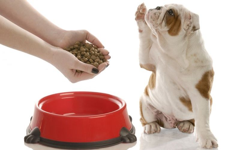 Alimento para perros AVVA