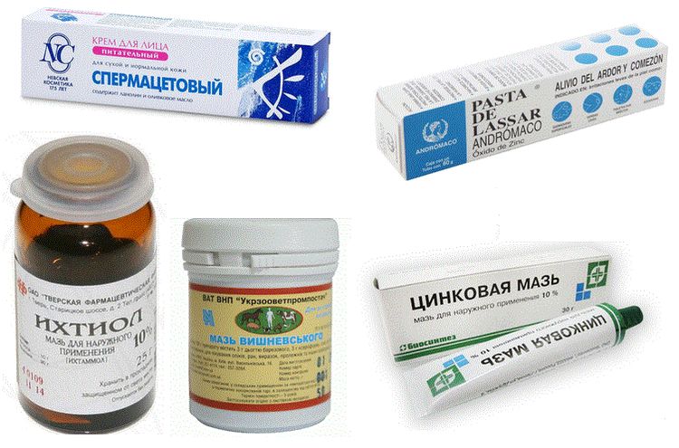 Tratamiento del eczema húmedo en perros