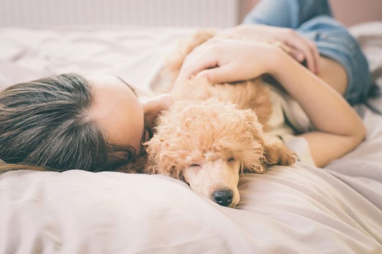 Una mujer duerme en la cama con un caniche.