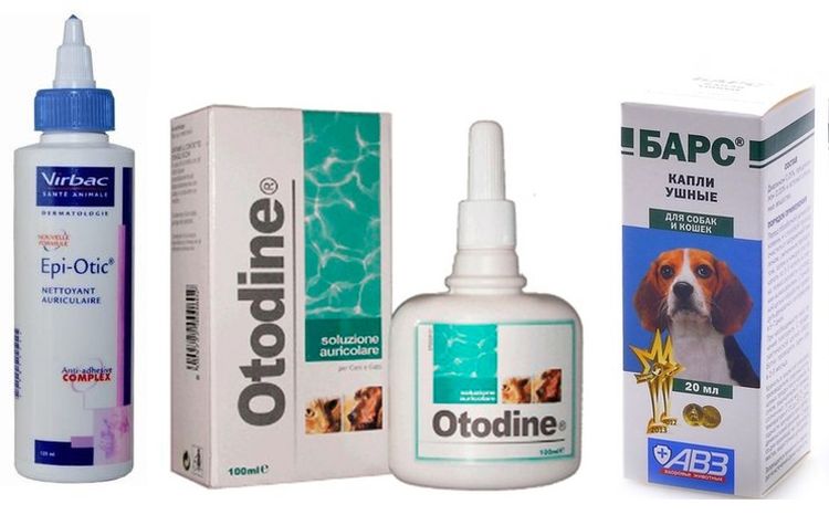Gotas para el tratamiento de la otodectosis en perros