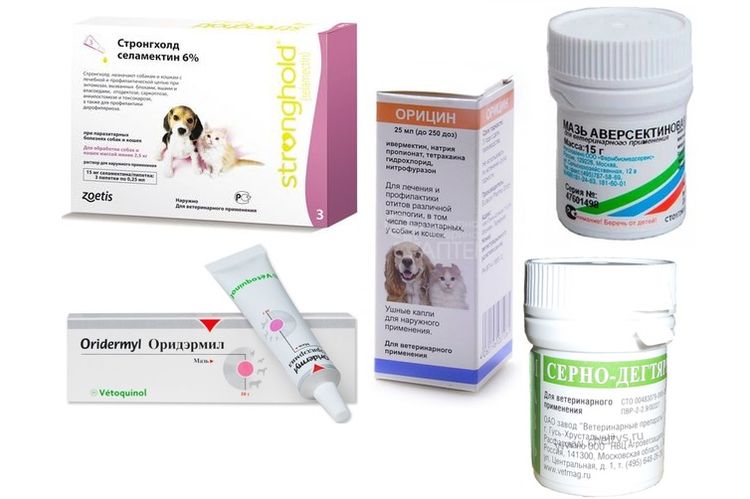 Medicamentos para el tratamiento de la otodectosis en perros