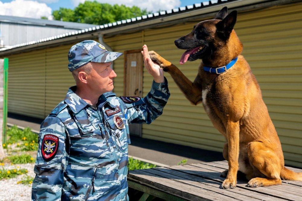 Hund, Mann in Uniform, Gebäude mit Tür
