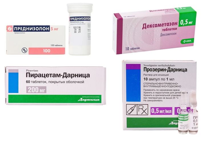 Medicamentos para el tratamiento de la parálisis de las patas en perros
