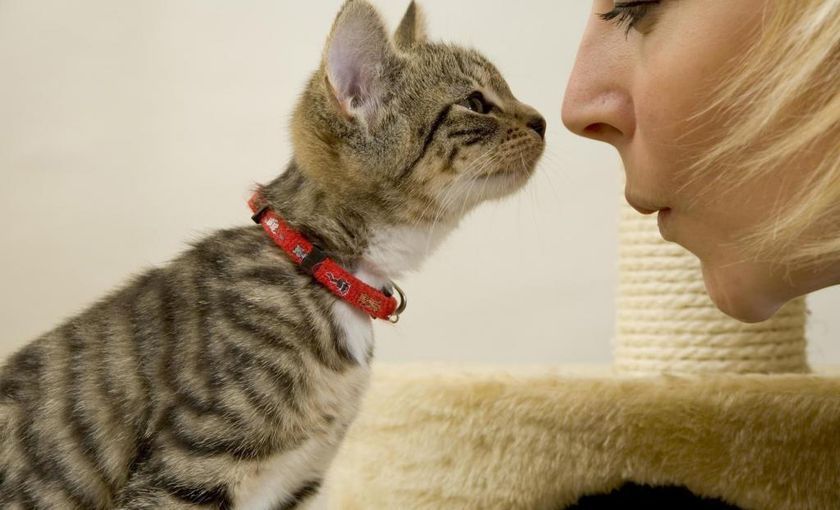 El gatito y la dueña