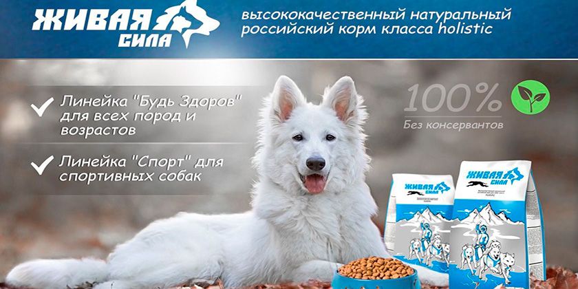 Hundefutter "Schiwaja Sila"
