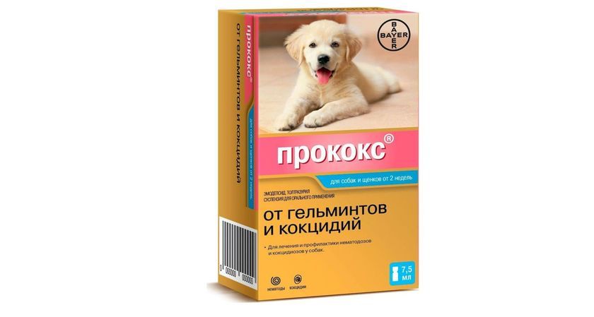 Procoks para perros