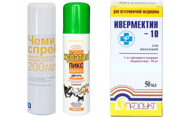 Medicamentos para el tratamiento de la dermatitis interdigital en perros