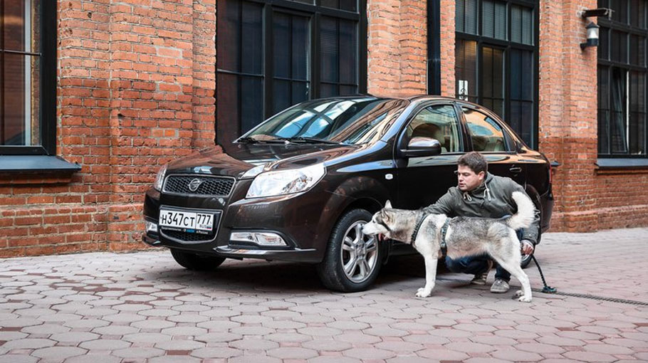 Wie man einem Hund beibringt, nicht auf Autos zu stürzen