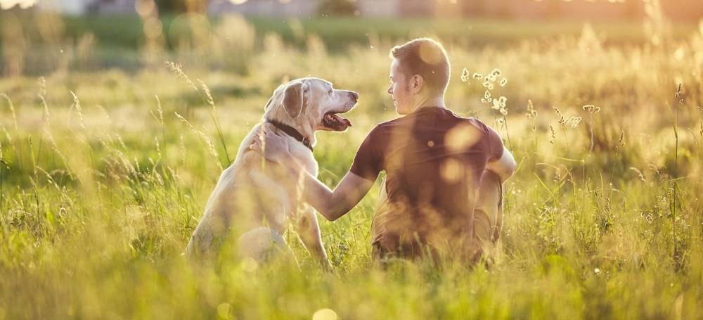 Secretos de la lealtad de los perros