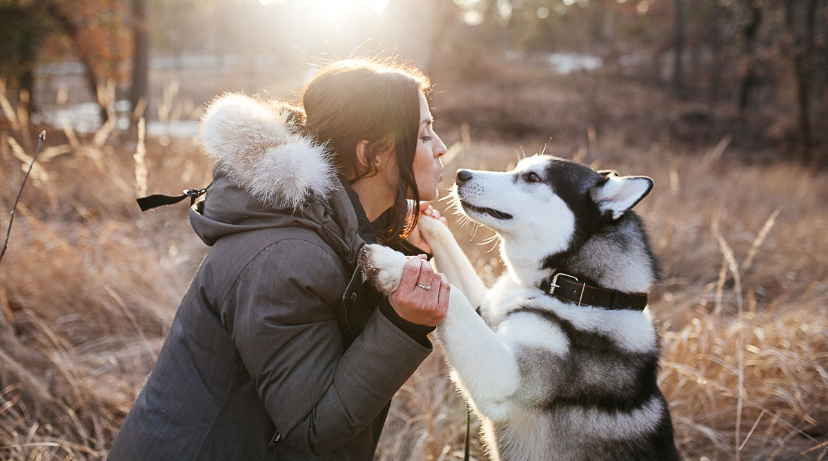 Razones de la lealtad y fidelidad de los perros