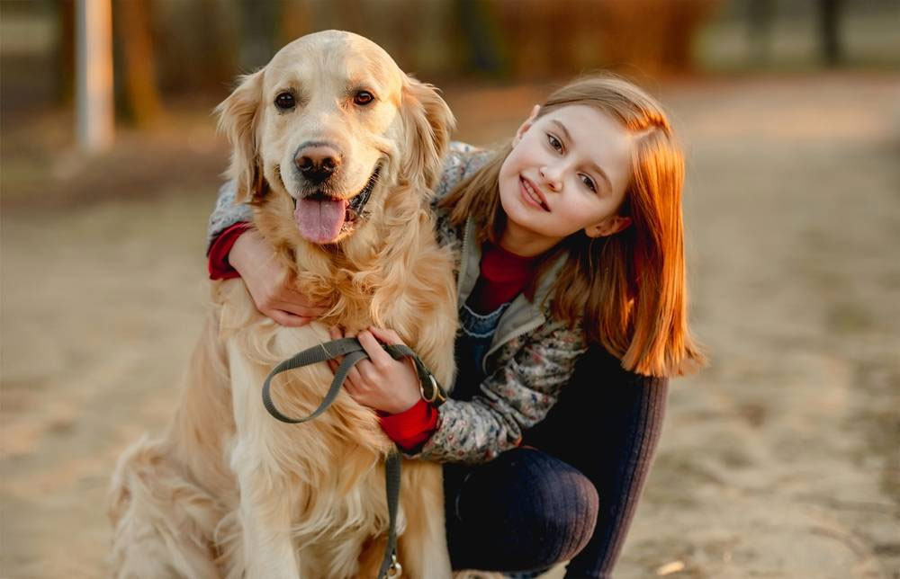 Las personas como manada para el perro: razones de la lealtad de las mascotas