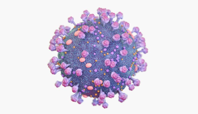 Virus de la inmunodeficiencia