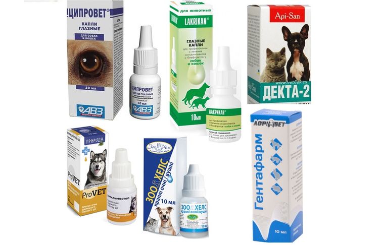 Preparados oftalmológicos para perros