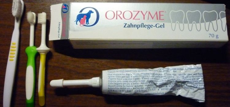 Kits de limpieza dental para perros