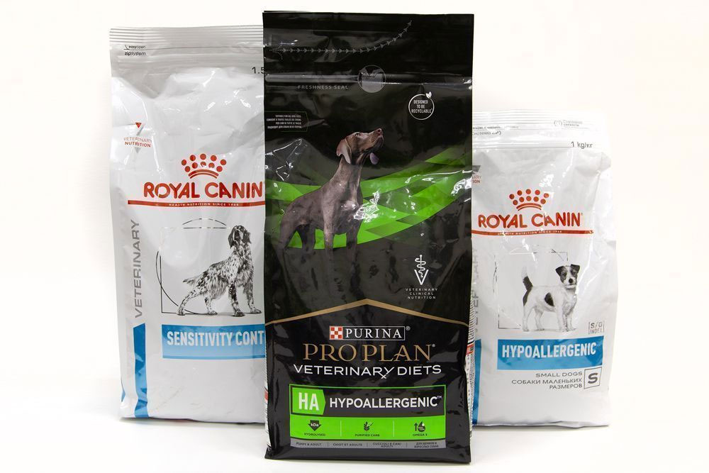 Piensos para perros con alergia