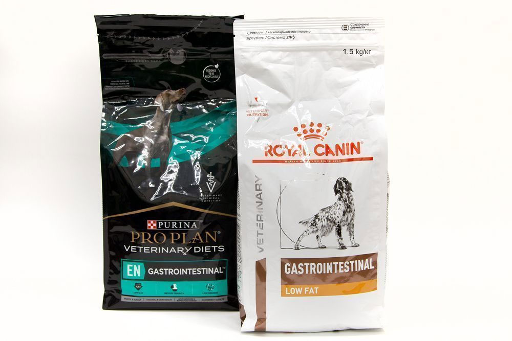 Piensos Gastro para perros