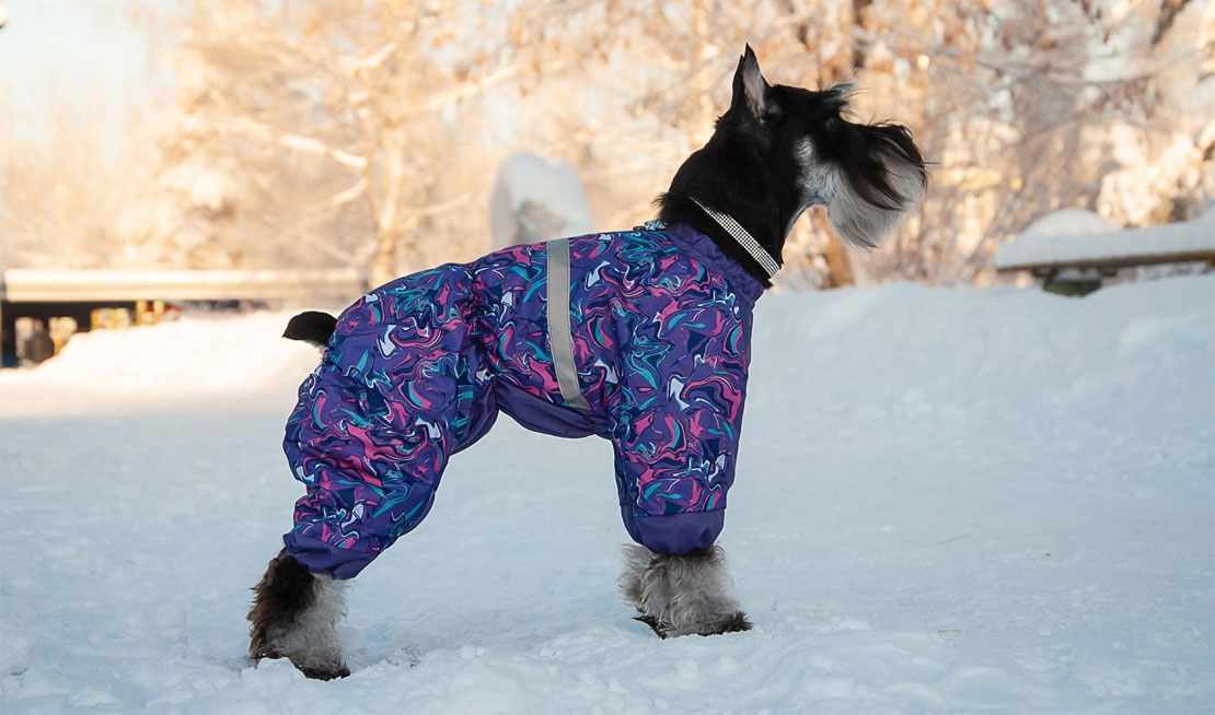 Ropa para perros