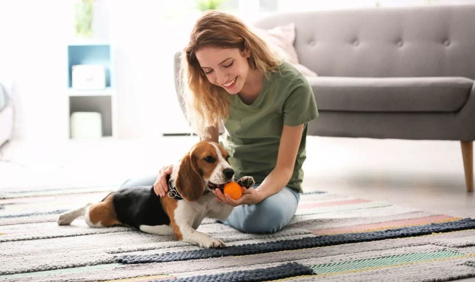 Qué juguetes necesita un cachorro