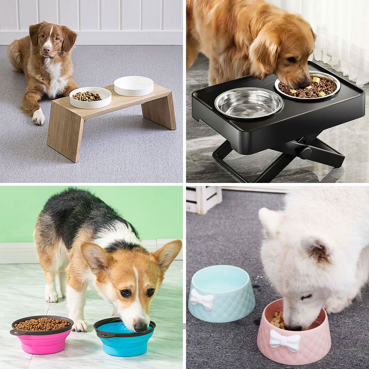 Cuencos para perros