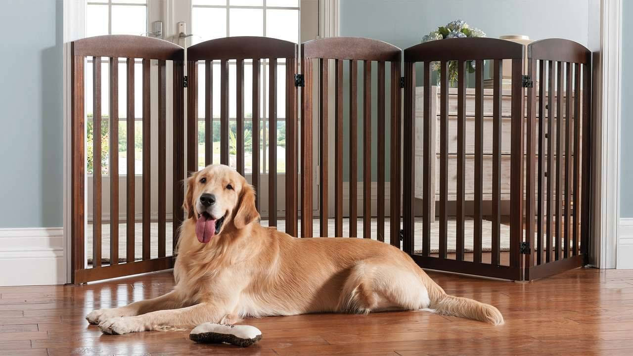 Separador móvil para perro en el apartamento