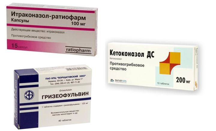 Tratamiento de las dermatomicosis en perros