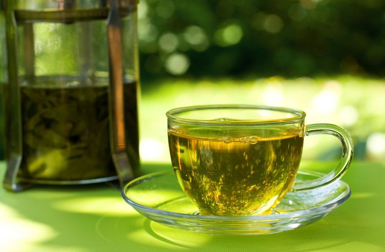 Té verde fuerte para la urticaria en perros