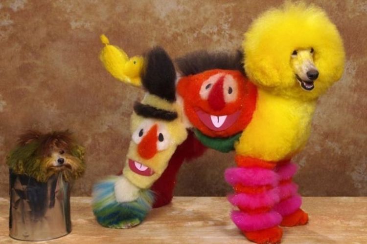 kreativnye-i-neobychnye-strizhki-sobak (10) Cortes de pelo inusuales para perros