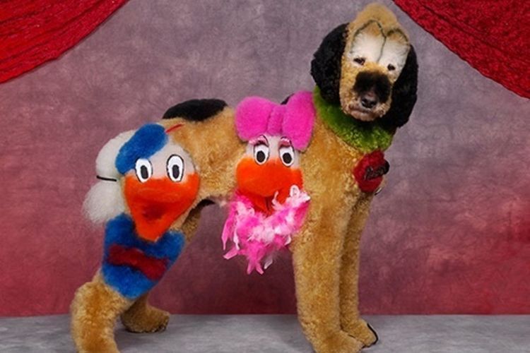 kreativnye-i-neobychnye-strizhki-sobak (11) Cortes de pelo inusuales para perros