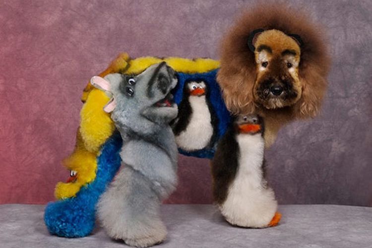 Cortes de pelo inusuales para perros