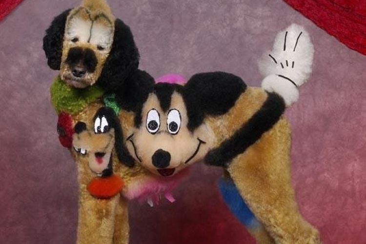 kreativnye-i-neobychnye-strizhki-sobak (8) Cortes de pelo inusuales para perros