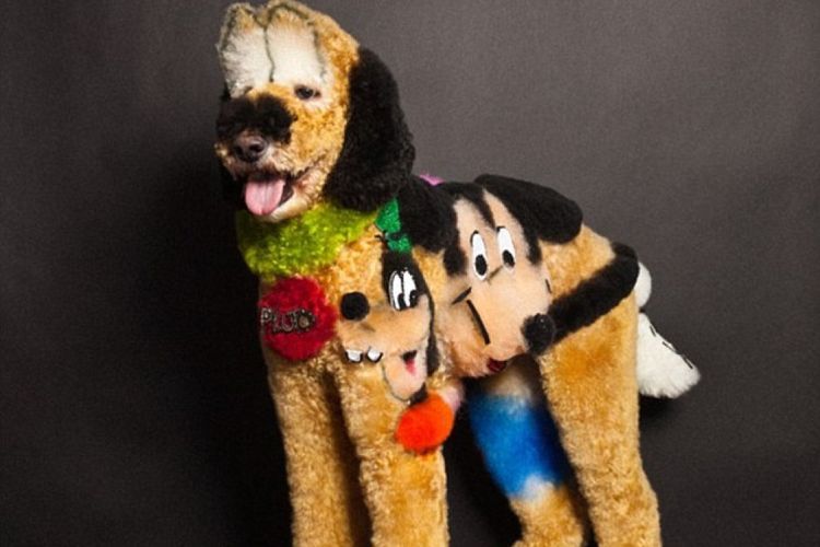 kreativnye-i-neobychnye-strizhki-sobak (9) Cortes de pelo inusuales para perros