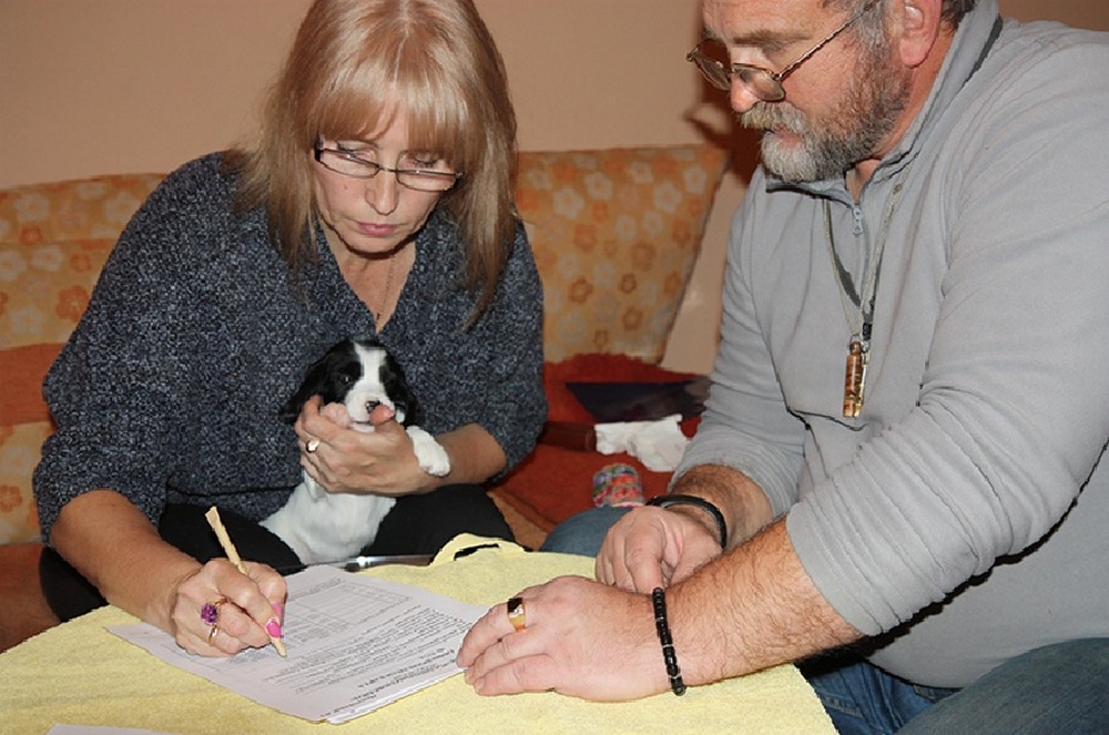 Hombre, mujer con un cachorro en la mesa, documento