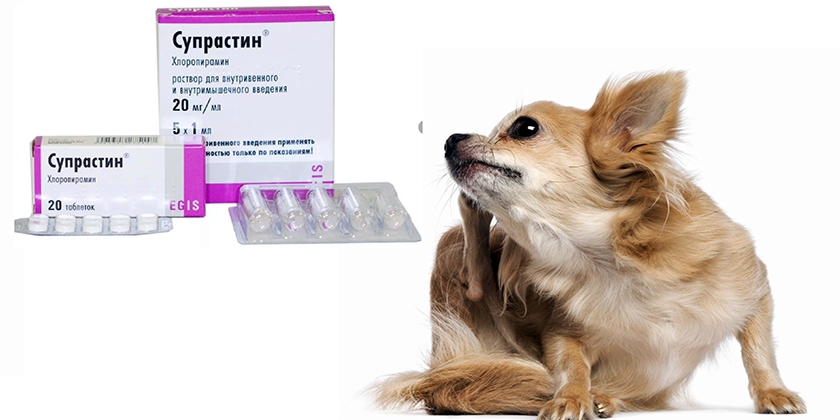¿Se puede dar Suprastin a un perro?