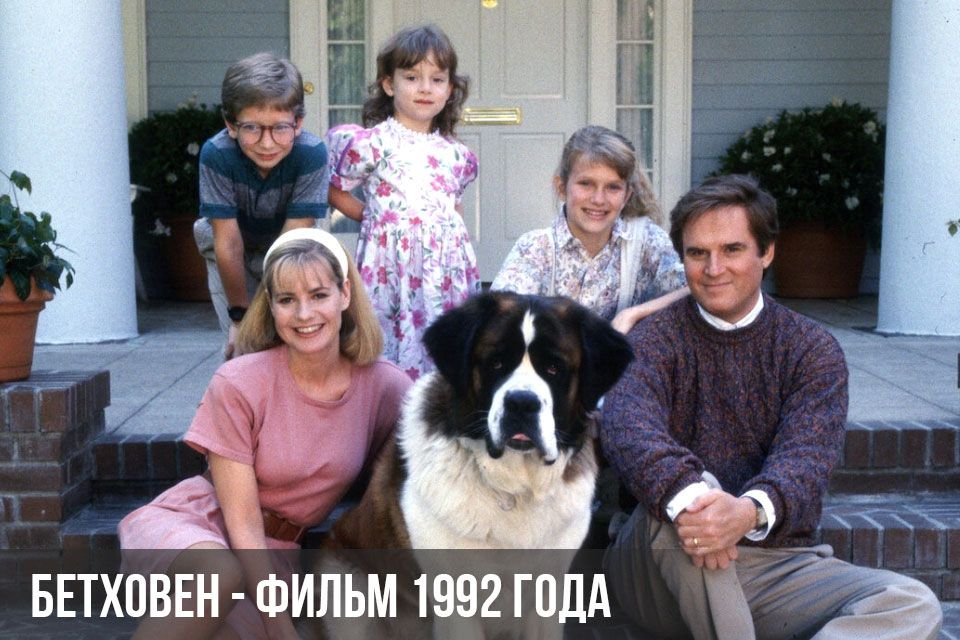 El perro de la película Beethoven